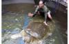 越南驚見重達169公斤700歲神鱉，其死亡令越南民眾非常震驚。