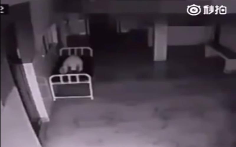 一名剛剛被宣布死亡的女子還躺在走廊病床上，幾秒鐘後不可思議的一幕就發生了。(有影片) 
