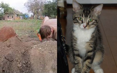 一名網友將出車禍死亡的愛貓埋在花園裡，但幾個小時後他的貓竟然自己回到家裡  挖開墳墓一看竟發現.......